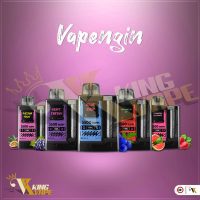 BEST DISPOSABLE BY VAPENGIN